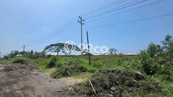 Lahan untuk Dijual di Kaliwungu Semarang Luas 14000m2 Lahan untuk Dijual di Kaliwungu Semarang Luas 14000m2