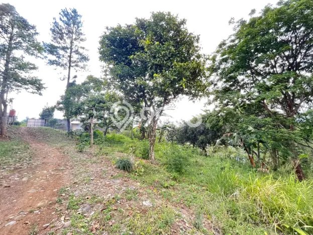 Jarang Ada! Tanah di Bogor Selatan Punya Luas 7800m2 - Jarang Ada! Tanah di Bogor Selatan Punya Luas 7800m2 -