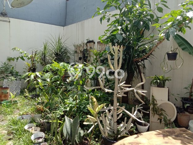 Dijual Rumah Luas Elegan Dengan View Cantik di Kota Wisata, Bogor Dijual Rumah Luas Elegan Dengan View Cantik di Kota Wisata, Bogor