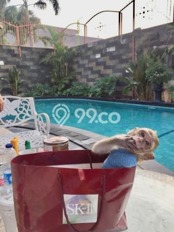 Dijual Rumah Mewah Elegan Dengan View Cantik di Kota Wisata, Bogor Dijual Rumah Mewah Elegan Dengan View Cantik di Kota Wisata, Bogor