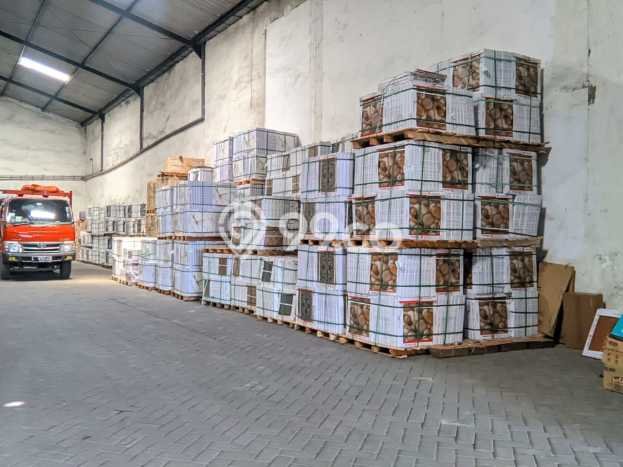 Paling Diincar! Gudang Dijual di Margomulyo Harga Kompetitif Paling Diincar! Gudang Dijual di Margomulyo Harga Kompetitif