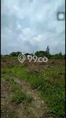 Lahan Kosong Dijual di Tuban dengan Area 40000m2 Lahan Kosong Dijual di Tuban dengan Area 40000m2