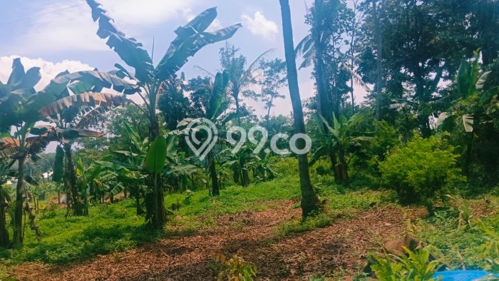 Tanah Kavling Dijual di Semarang dengan Spesifikasi 2066m2 Tanah Kavling Dijual di Semarang dengan Spesifikasi 2066m2