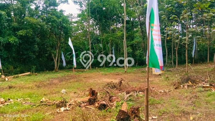 Jual Rumah Murah Meriah Mijen Punya 2 KT & LT 182m2 Jual Rumah Murah Meriah Mijen Punya 2 KT & LT 182m2