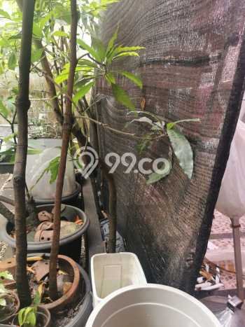 Hunian Super Mewah dengan Akses Paling Strategis di BSD The Green, Tangerang Hunian Super Mewah dengan Akses Paling Strategis di BSD The Green, Tangerang