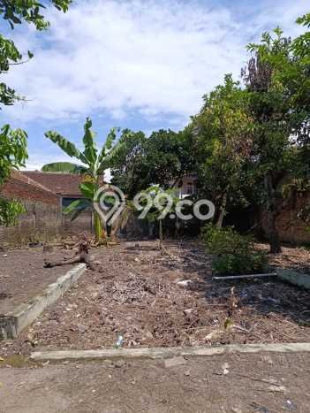 Siap Huni Hunian Elit 5 Kamar di Tarogong Kidul Dekat ke Mana Saja Siap Huni Hunian Elit 5 Kamar di Tarogong Kidul Dekat ke Mana Saja