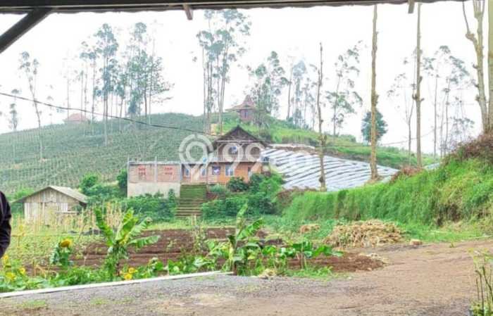 Tanah Komersial Dijual di Samarang Garut 175000m2 Tanah Komersial Dijual di Samarang Garut 175000m2