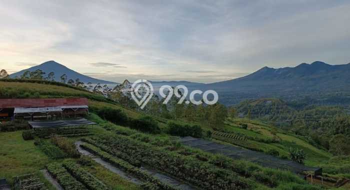 Tanah Komersial Dijual di Samarang Garut 175000m2 Tanah Komersial Dijual di Samarang Garut 175000m2