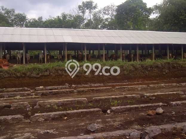 Komersial Dijual Lokasi Emas di Tanjungsari Luas 900m2 Komersial Dijual Lokasi Emas di Tanjungsari Luas 900m2