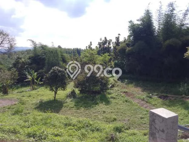 Tanah di Padalarang, Bandung Luas 3815m2 Dijual Segera Tanah di Padalarang, Bandung Luas 3815m2 Dijual Segera