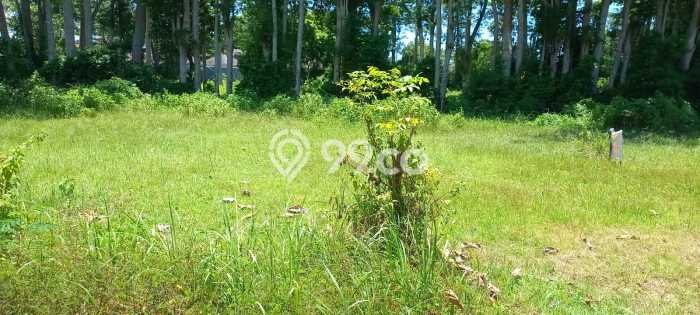 Dijual Tanah Kawasan , Luas 560m2m², Dekat Badung, Badung Dijual Tanah Kawasan , Luas 560m2m², Dekat Badung, Badung