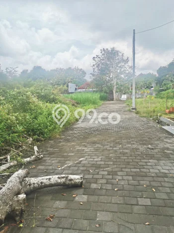 Tanah Strategis di , Luas 170m2m², Ideal untuk Perumahan Tanah Strategis di , Luas 170m2m², Ideal untuk Perumahan