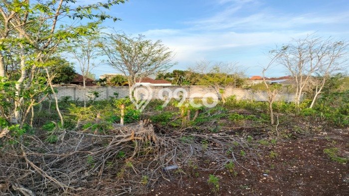 Jual Tanah Kawasan Bisnis di Nusa Dua, Luas 1500m², Potensi Bagus Jual Tanah Kawasan Bisnis di Nusa Dua, Luas 1500m², Potensi Bagus