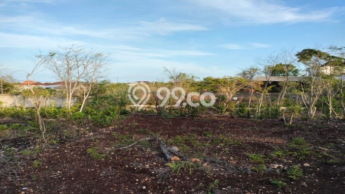 Jual Tanah Kawasan Bisnis di Nusa Dua, Luas 1500m², Potensi Bagus Jual Tanah Kawasan Bisnis di Nusa Dua, Luas 1500m², Potensi Bagus