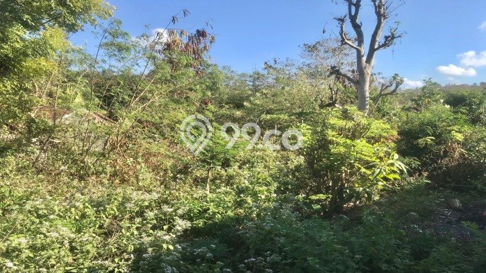 Tanah Lokasi Strategis Kawasan Pecatu, Luas 1200m², Kawasan Asri, Dekat Pecatu, Badung, Badung Tanah Lokasi Strategis Kawasan Pecatu, Luas 1200m², Kawasan Asri, Dekat Pecatu, Badung, Badung