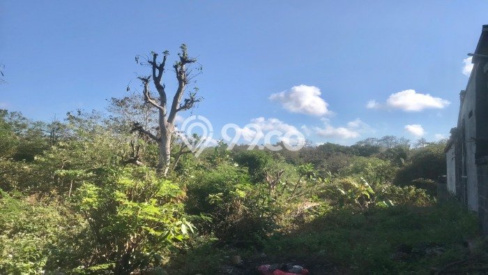 Tanah Lokasi Strategis Kawasan Pecatu, Luas 1200m², Kawasan Asri, Dekat Pecatu, Badung, Badung Tanah Lokasi Strategis Kawasan Pecatu, Luas 1200m², Kawasan Asri, Dekat Pecatu, Badung, Badung