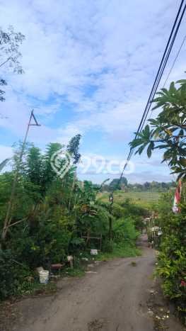 Kavling Tanah Dijual di Kediri Tabanan Spesifikasi 200m2 Kavling Tanah Dijual di Kediri Tabanan Spesifikasi 200m2