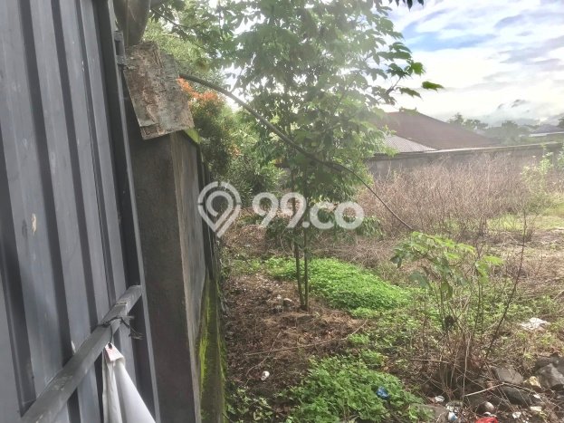 Tanah Siap Bangun Dijual di Badung Punya Luas 1000m2 Tanah Siap Bangun Dijual di Badung Punya Luas 1000m2