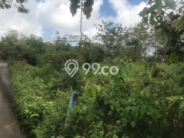 Tanah Kavling Dijual di Ungasan, Badung dengan Luas Tanah 700m2 Tanah Kavling Dijual di Ungasan, Badung dengan Luas Tanah 700m2
