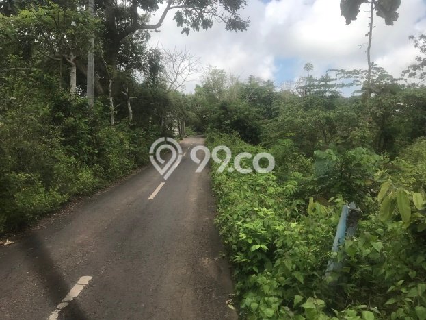 Tanah Kavling Dijual di Ungasan, Badung dengan Luas Tanah 700m2 Tanah Kavling Dijual di Ungasan, Badung dengan Luas Tanah 700m2