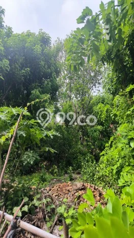 LOKASI STRATEGIS! Tanah Kawasan , Luas 600m2m², Area Nyaman, Cocok untuk Hunian LOKASI STRATEGIS! Tanah Kawasan , Luas 600m2m², Area Nyaman, Cocok untuk Hunian