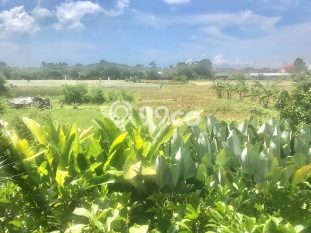 Vila Asri Kawasan , Area 169m2m², View Menarik sekitar Vila Asri Kawasan , Area 169m2m², View Menarik sekitar