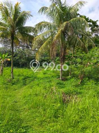 Tanah Dijual Lokasi Ciseeng, Bogor dengan Luas Tanah 16000m2 dan Status SHM Tanah Dijual Lokasi Ciseeng, Bogor dengan Luas Tanah 16000m2 dan Status SHM