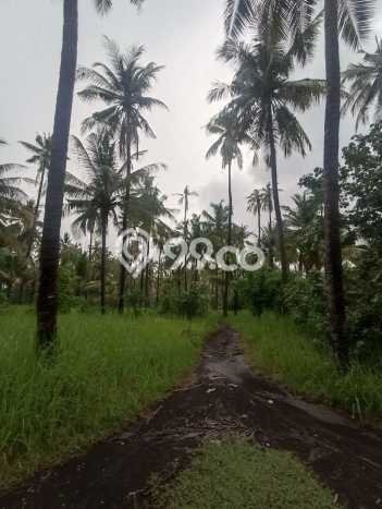 Tanah Kavling Dijual di Buleleng dengan Spesifikasi 32800m2 Tanah Kavling Dijual di Buleleng dengan Spesifikasi 32800m2