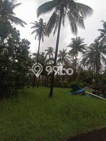 Tanah Kavling Dijual di Buleleng dengan Spesifikasi 32800m2 Tanah Kavling Dijual di Buleleng dengan Spesifikasi 32800m2