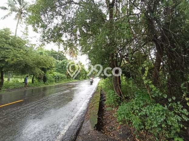 Tanah Kavling Dijual di Buleleng dengan Spesifikasi 32800m2 Tanah Kavling Dijual di Buleleng dengan Spesifikasi 32800m2