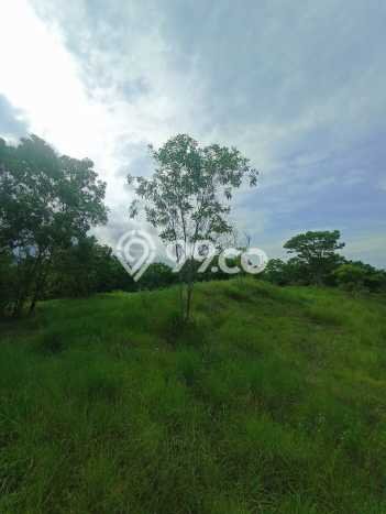 Kavling Tanah Dijual di Tulamben Karangasem Spesifikasi 1300m2 Kavling Tanah Dijual di Tulamben Karangasem Spesifikasi 1300m2