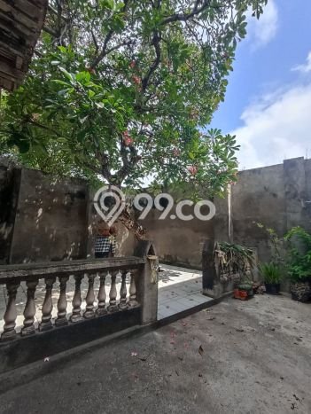 Tanah Disewakan Lokasi Buleleng Seluas 3000m2 Strategis dan Aman Tanah Disewakan Lokasi Buleleng Seluas 3000m2 Strategis dan Aman