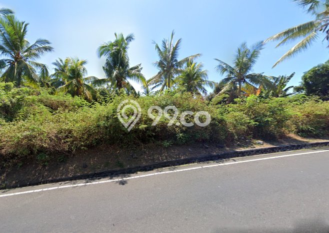 Tanah Kavling Dijual di Buleleng dengan Spesifikasi 15900m2 Tanah Kavling Dijual di Buleleng dengan Spesifikasi 15900m2