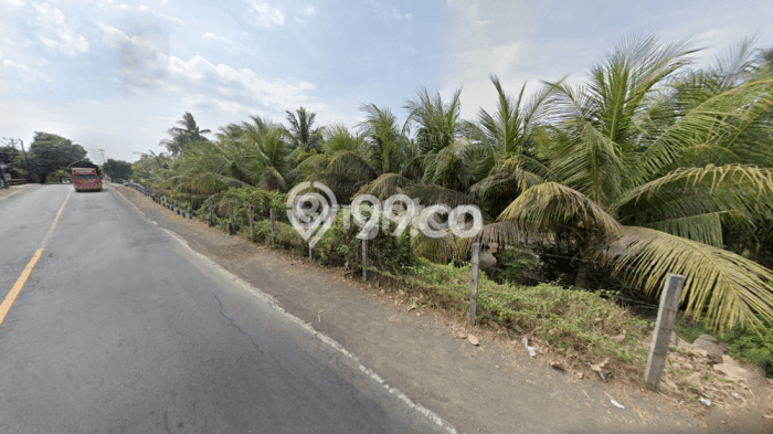 Tanah Kavling Dijual di Buleleng dengan Spesifikasi 13100m2 Tanah Kavling Dijual di Buleleng dengan Spesifikasi 13100m2