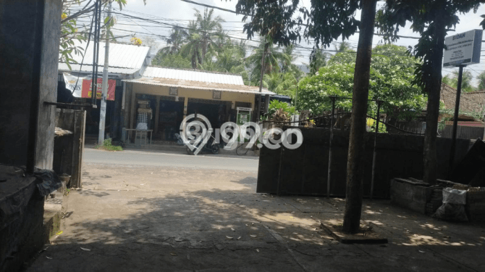 Rumah Luas Asri 8 KT Siap Pakai di Lovina Buleleng Rumah Luas Asri 8 KT Siap Pakai di Lovina Buleleng