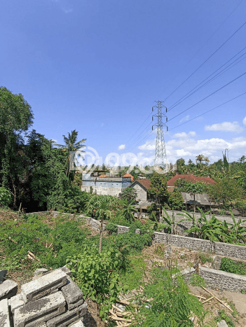 Tanah Kosong Dijual di Gianyar dengan Area 1300m2 Tanah Kosong Dijual di Gianyar dengan Area 1300m2