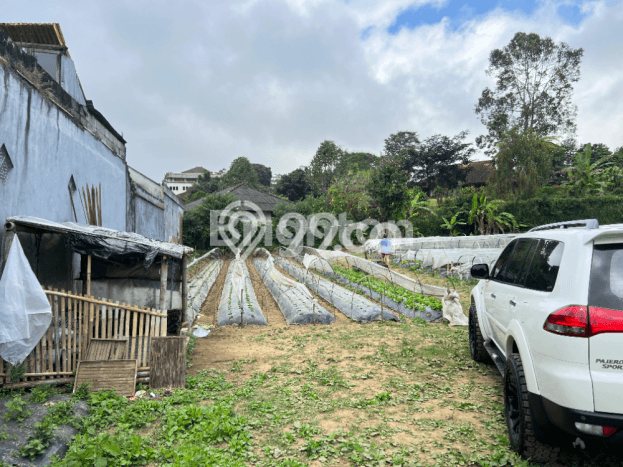Lahan Dijual Lokasi Strategis di Buleleng dengan Luas 2000m2 Lahan Dijual Lokasi Strategis di Buleleng dengan Luas 2000m2