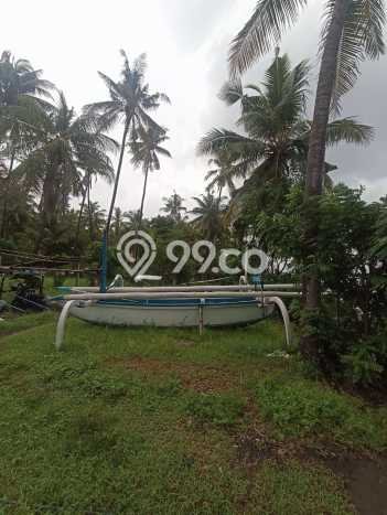 Tanah Kavling Dijual di Buleleng dengan Spesifikasi 32800m2 Tanah Kavling Dijual di Buleleng dengan Spesifikasi 32800m2