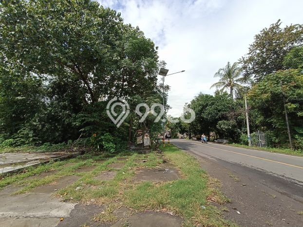 Tanah Kavling Dijual di Buleleng dengan Spesifikasi 265m2 Tanah Kavling Dijual di Buleleng dengan Spesifikasi 265m2