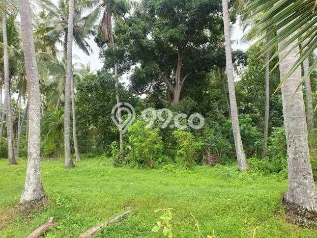 Tanah Strategis Dijual di Tejakula Buleleng 4540m2 Tanah Strategis Dijual di Tejakula Buleleng 4540m2