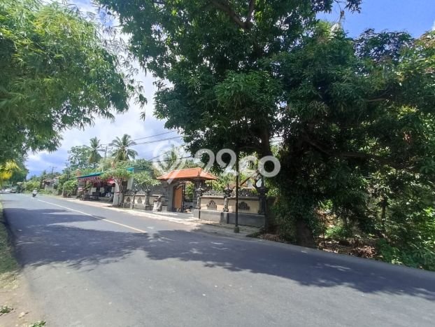 Tanah Kavling Dijual di Pacung, Buleleng dengan Luas Tanah 385m2 Tanah Kavling Dijual di Pacung, Buleleng dengan Luas Tanah 385m2