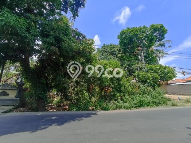 Tanah Kavling Dijual di Pacung, Buleleng dengan Luas Tanah 385m2 Tanah Kavling Dijual di Pacung, Buleleng dengan Luas Tanah 385m2
