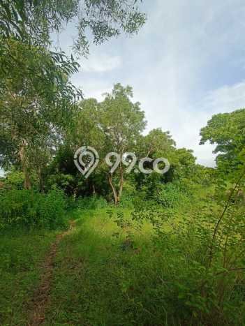 Kavling Tanah Dijual di Tulamben Karangasem Spesifikasi 1300m2 Kavling Tanah Dijual di Tulamben Karangasem Spesifikasi 1300m2