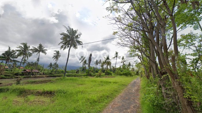 Tanah Kavling Dijual di Panji, Buleleng dengan Luas Tanah 400m2 Tanah Kavling Dijual di Panji, Buleleng dengan Luas Tanah 400m2