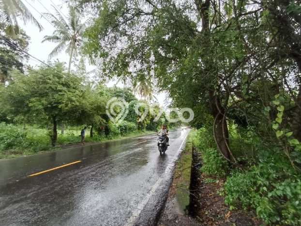 Tanah Kavling Dijual di Buleleng dengan Spesifikasi 32800m2 Tanah Kavling Dijual di Buleleng dengan Spesifikasi 32800m2