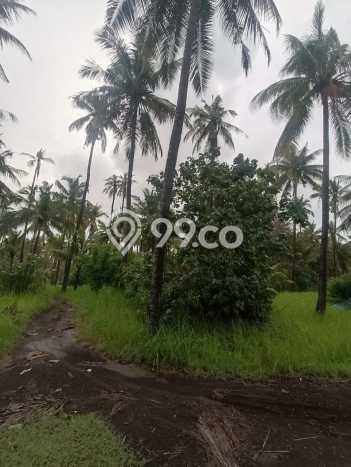 Tanah Kavling Dijual di Buleleng dengan Spesifikasi 32800m2 Tanah Kavling Dijual di Buleleng dengan Spesifikasi 32800m2