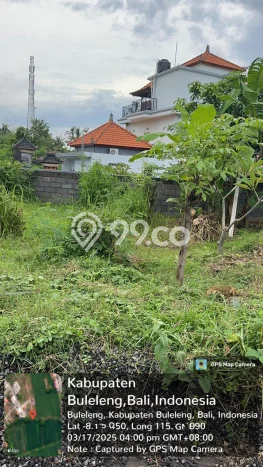 Tanah Dijual di Buleleng Seluas 120m2 Strategis Tanah Dijual di Buleleng Seluas 120m2 Strategis