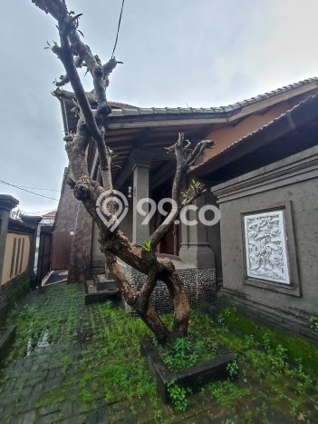 Rumah Luas Asri 3 KT Siap Pakai di Sidakarya Denpasar Rumah Luas Asri 3 KT Siap Pakai di Sidakarya Denpasar