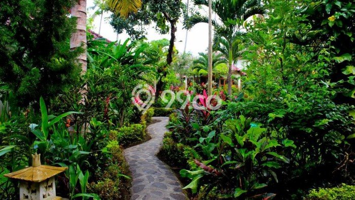 Hotel Kawasan , Luas 1000m2m², Area Komersial, Dekat Buleleng, Buleleng Hotel Kawasan , Luas 1000m2m², Area Komersial, Dekat Buleleng, Buleleng