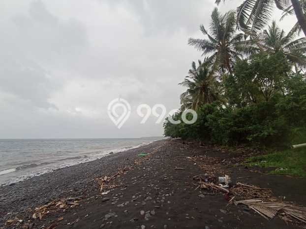 Tanah Kavling Dijual di Buleleng dengan Spesifikasi 32800m2 Tanah Kavling Dijual di Buleleng dengan Spesifikasi 32800m2